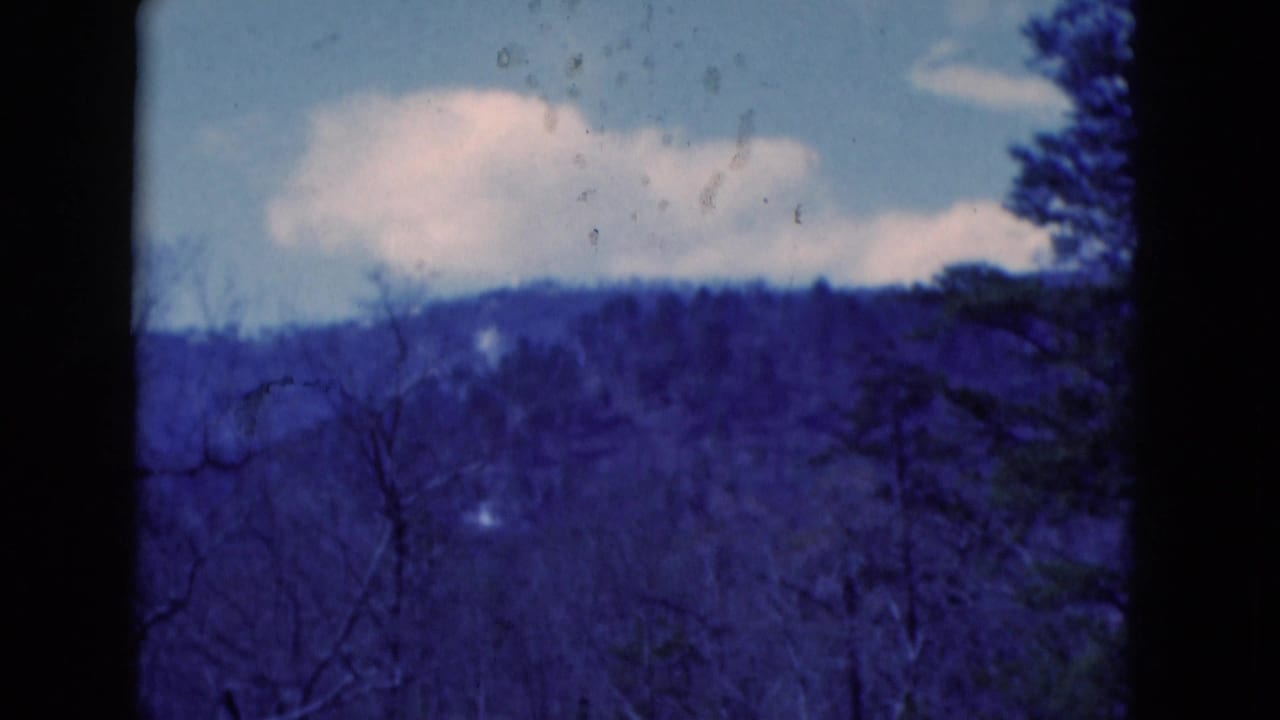 Wooded hillside with bare branches, clouds, and dark film borders.