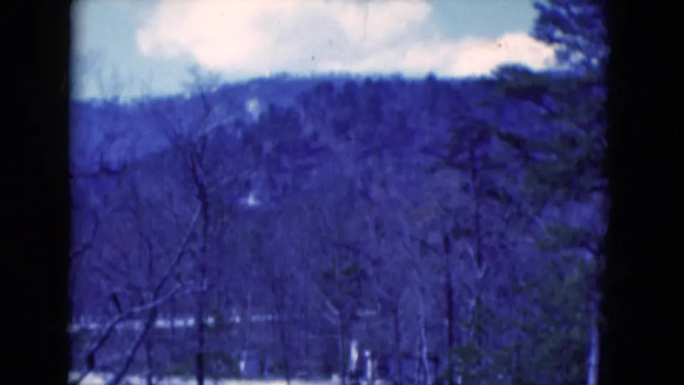 1975 8mm home-movie view of bare trees before a wooded hill, with a pale waterline or clearing low in frame.