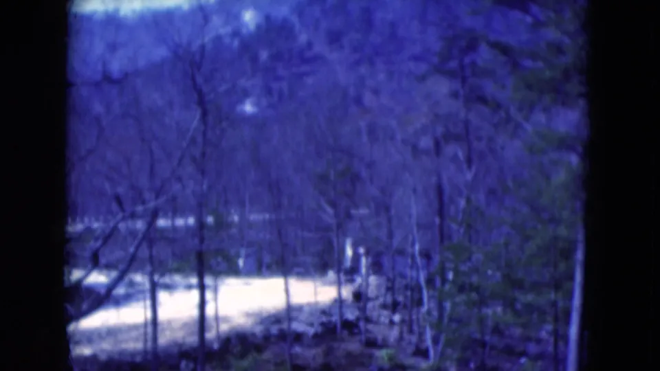 1975 8mm Florida frame showing leafless trees, a pale water or clearing area, wooded hills, and blue-tinted film color.