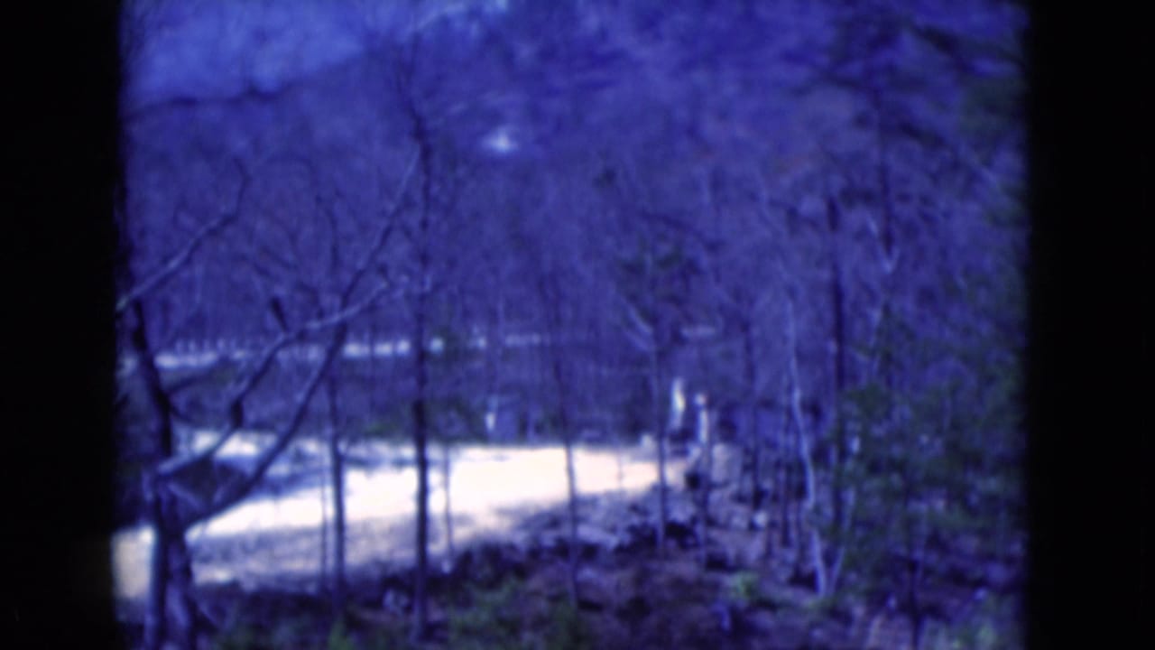 1975 8mm Florida home-movie frame with a blue cast, showing a winding road partly obscured by bare trees and dark film edges.