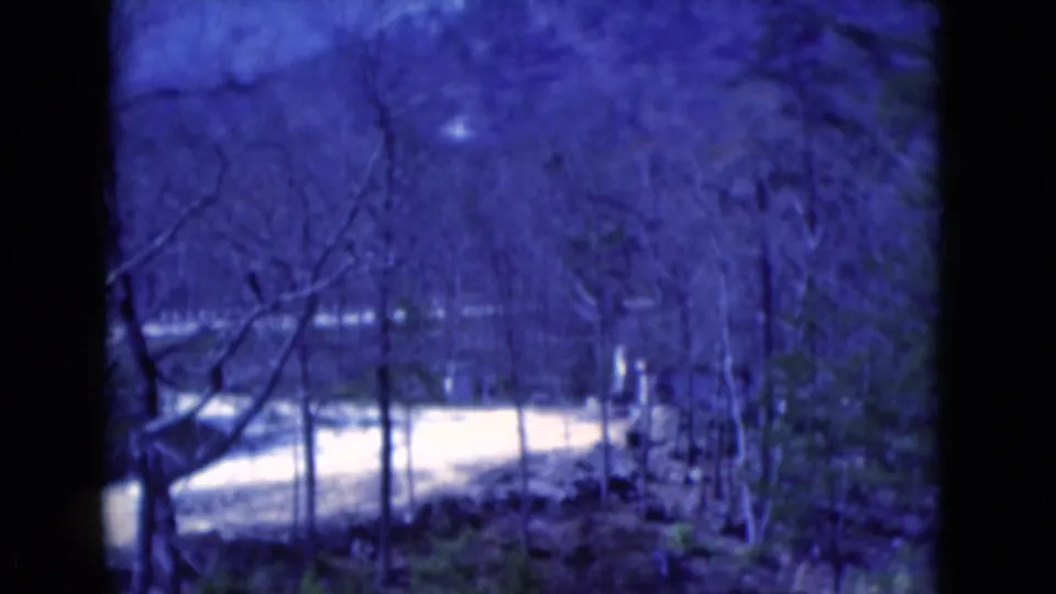 1975 8mm Florida home-movie frame with a blue cast, showing a winding road partly obscured by bare trees and dark film edges.