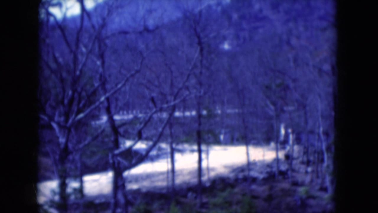 1975 8mm Florida frame showing the same curving road through leafless trees, with a strong blue cast and dark frame edge.