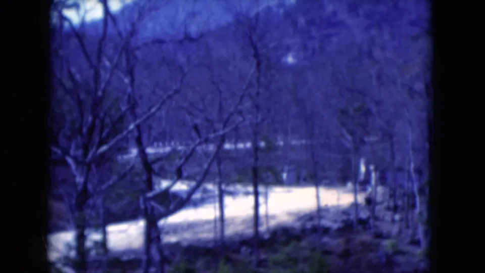 1975 8mm Florida frame showing the same curving road through leafless trees, with a strong blue cast and dark frame edge.