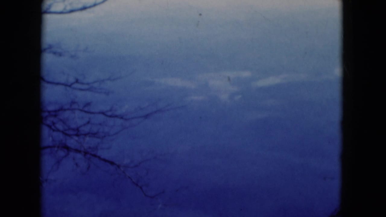 1975 8mm frame cataloged to Florida showing hazy mountain ridges, overcast sky, bare branches, and dark gate edges.
