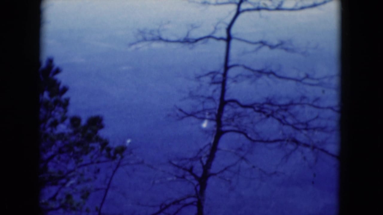 Bare tree and dark foreground shapes frame a blue, distant mountain view.