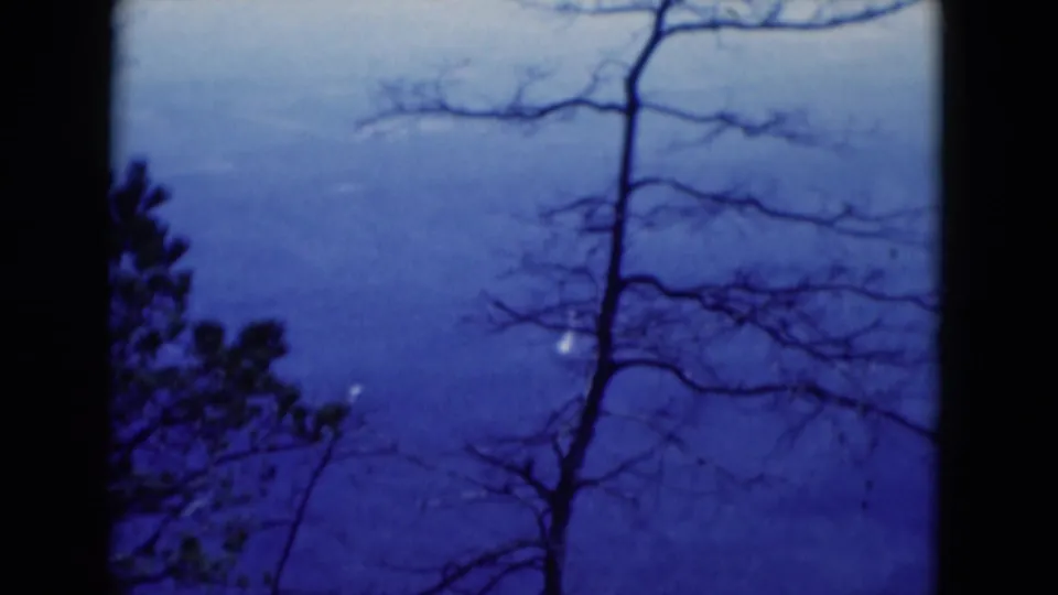 1975 8mm frame cataloged to Florida with a bare tree, dark foreground foliage, and blue distant ridgelines.