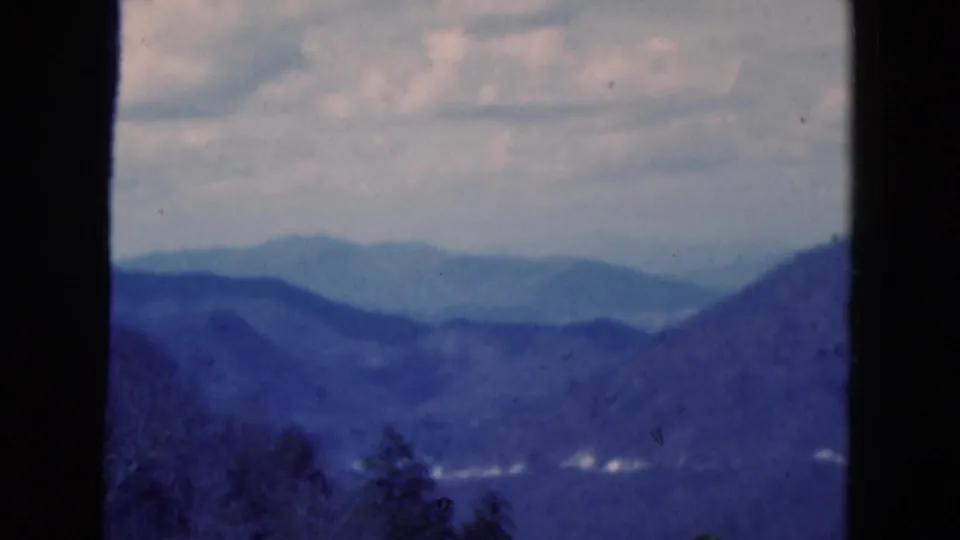 1975 8mm frame cataloged to Florida with blue mountain layers, overcast clouds, a central tree trunk, and small distant highlights.