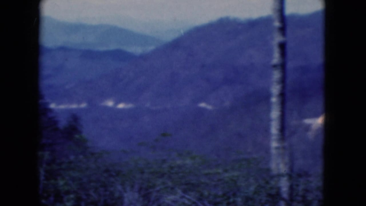 Distant blue hills beyond dark foreground trees and low green brush.