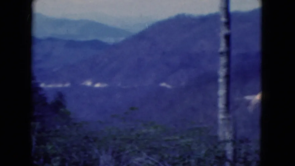 1975 8mm view of layered hills and wooded slopes in Florida, framed by dark tree trunks and soft film edges.