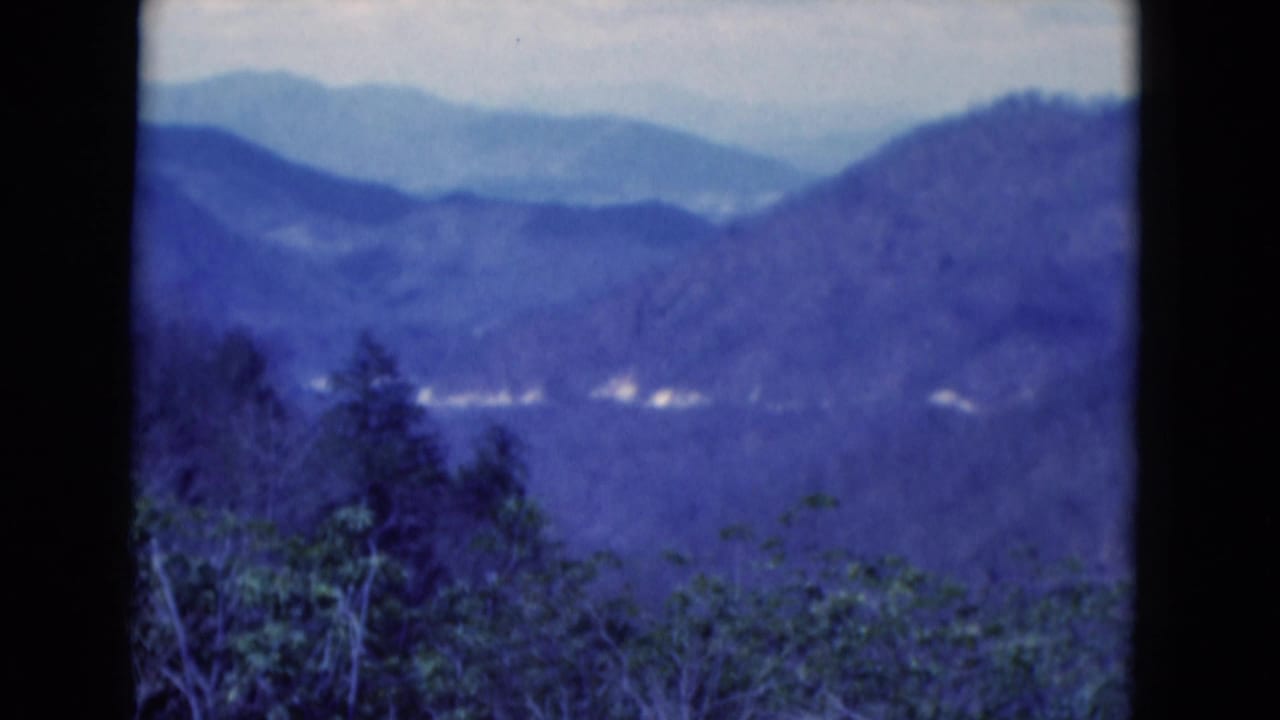A Florida landscape view on 8mm film shows hazy blue hills, wooded foreground and a dark central tree trunk.