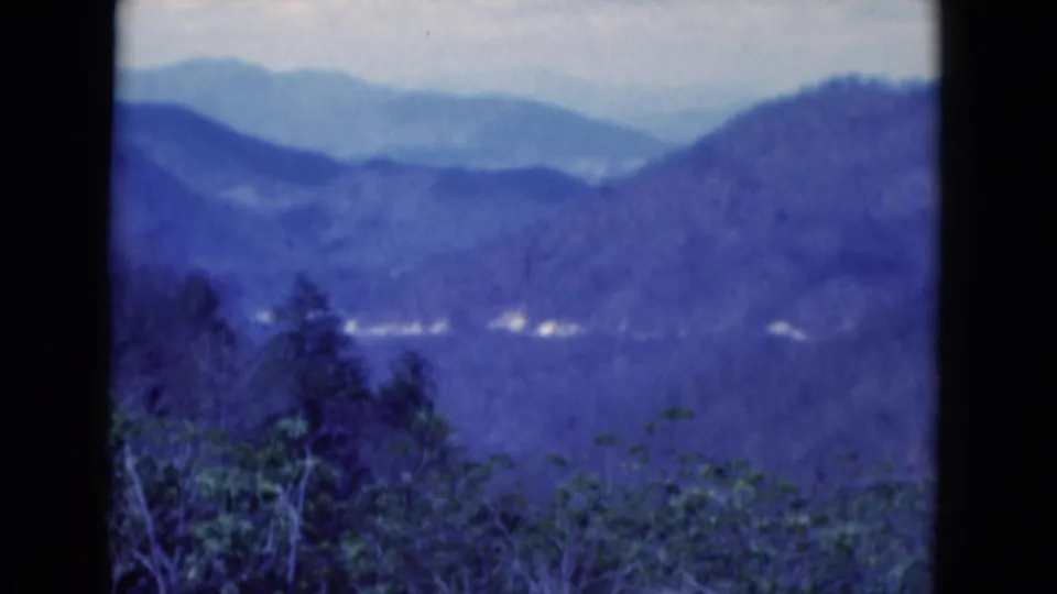 A Florida landscape view on 8mm film shows hazy blue hills, wooded foreground and a dark central tree trunk.