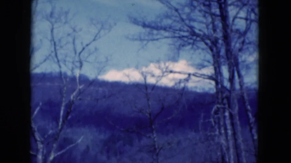 The final frame shows bare branches against a pale sky with a low wooded ridge and blue-toned 8mm color fading.