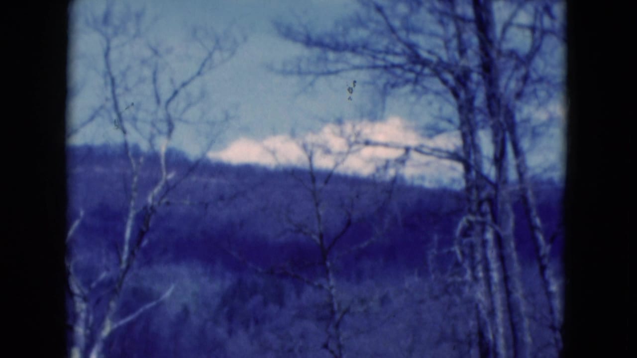 Bare trees stand before distant wooded hills under a blue sky.