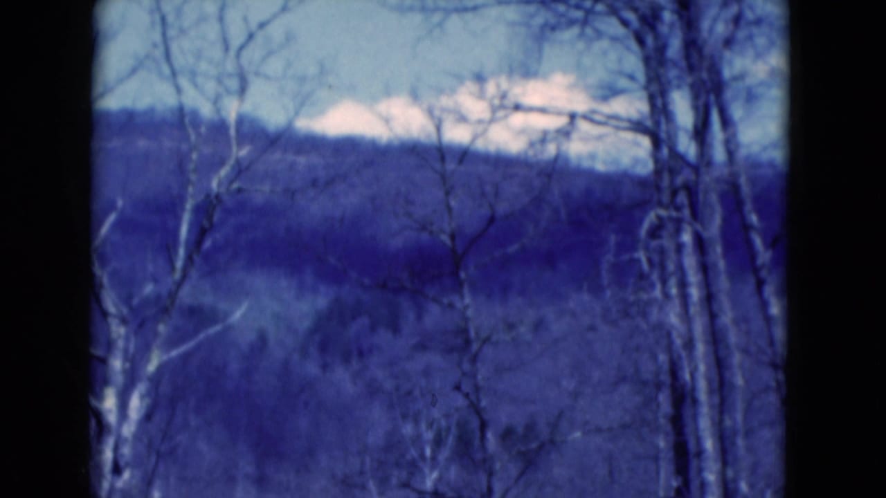 Blue-toned 8mm frame labeled Florida with bare trees in the foreground and a wooded ridgeline beyond.