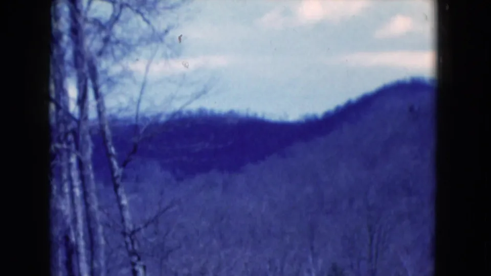 1975 8mm frame labeled Florida showing a bare tree line at left and soft wooded hills under pale clouds.