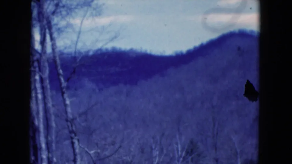Blue-shifted 8mm frame labeled Florida with bare branches, distant hills, cloudy sky, and a visible dark film blemish.