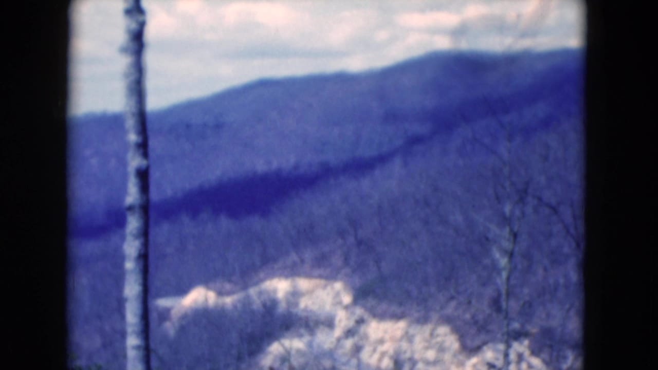 Bare tree trunk in front of blue mountain ridges under a cloudy sky.
