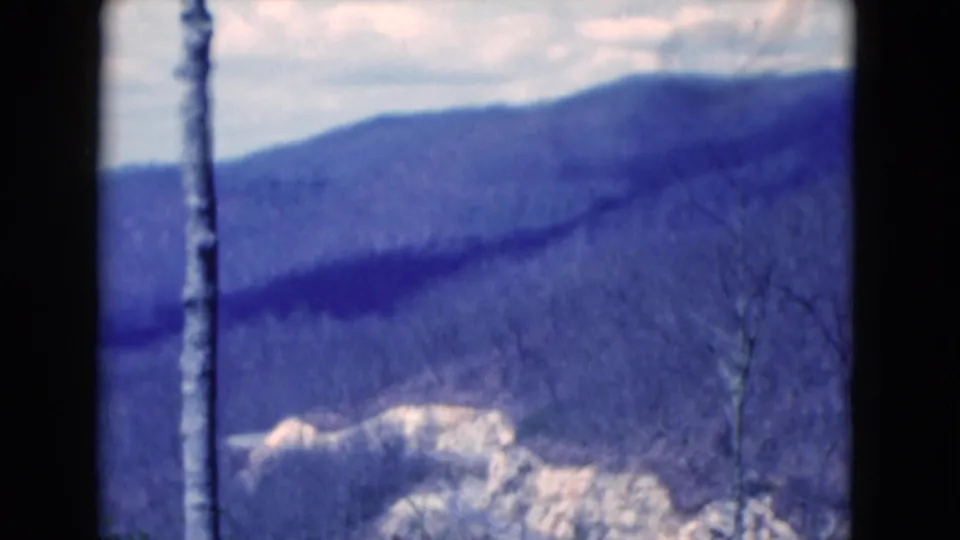1975 8mm home-movie frame from Florida showing a bare tree trunk framing distant blue mountain ridges beneath an overcast sky.