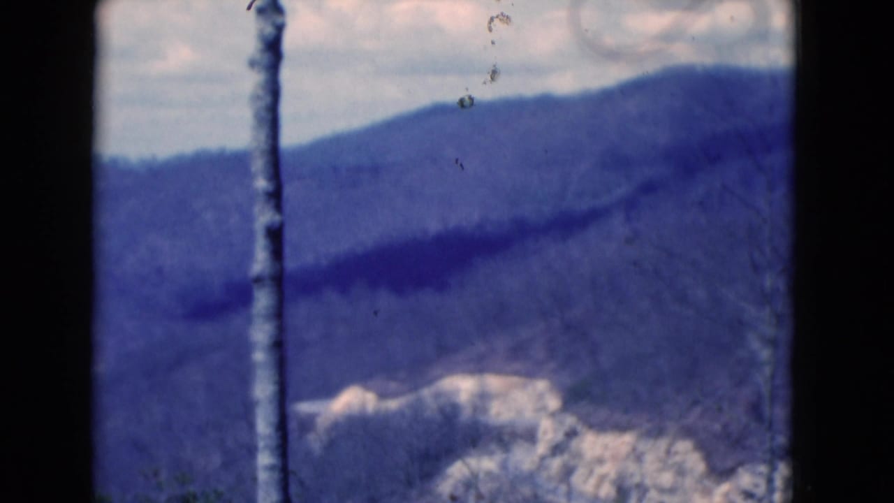 1975 8mm home-movie frame from Florida with a vertical bare trunk, hazy mountain ridge, cloudy sky, and visible film gate edges.
