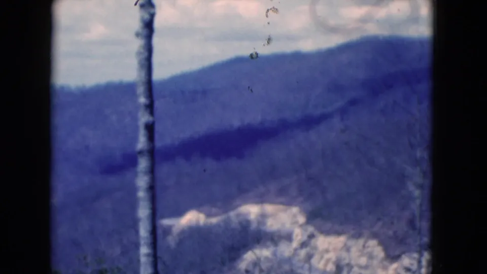 1975 8mm home-movie frame from Florida with a vertical bare trunk, hazy mountain ridge, cloudy sky, and visible film gate edges.