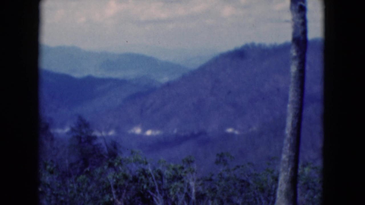 Blue-toned mountain ridges with forest in the foreground and a dark tree trunk near the right edge.