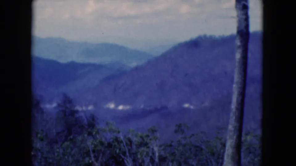 1975 8mm home-movie frame of distant tree-covered mountain ridges in Florida, tinted blue with a dark trunk framing the view.