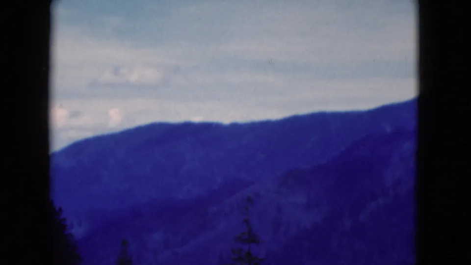 1975 8mm Florida landscape view of blue-toned wooded ridges, pale sky, and a dark tree trunk in the foreground.
