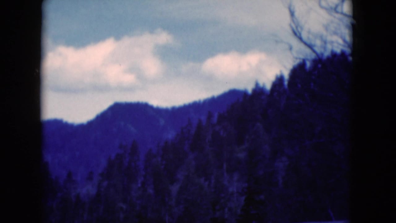 1975 8mm home-movie view of a wooded mountain slope and pale clouds, with bare branches along the right side.