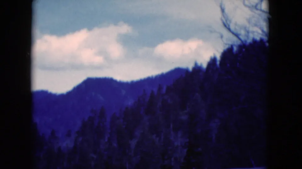 1975 8mm home-movie view of a wooded mountain slope and pale clouds, with bare branches along the right side.