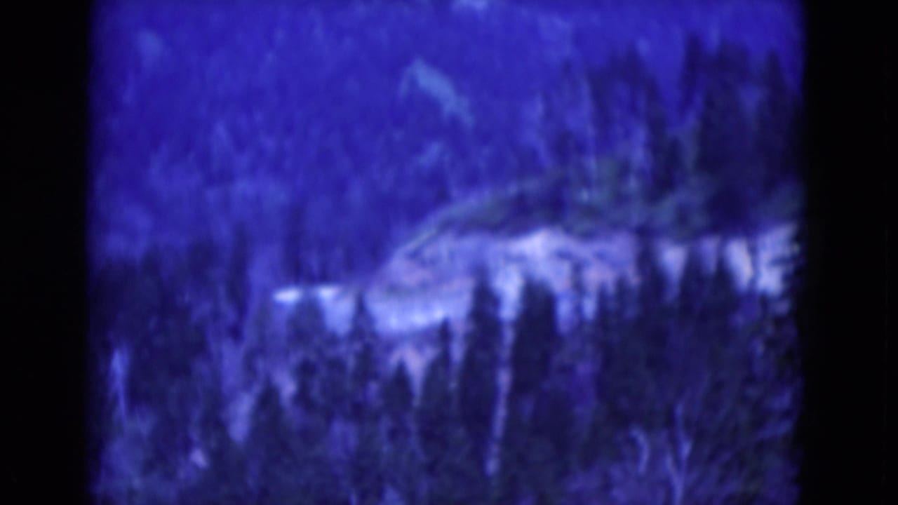 Blue-tinted view of trees and a pale rocky ledge in soft focus.