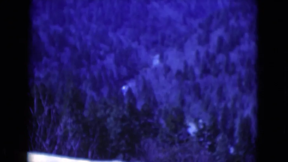 Soft 8mm frame of dense brush and tree shapes, heavily blue-tinted and partially indistinct from motion or focus.