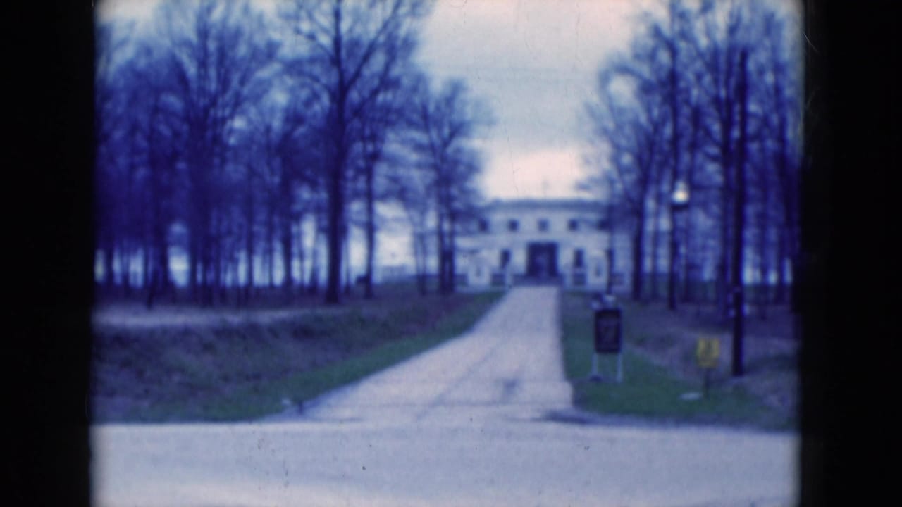 Tree-lined driveway leading toward a large white building across a road.