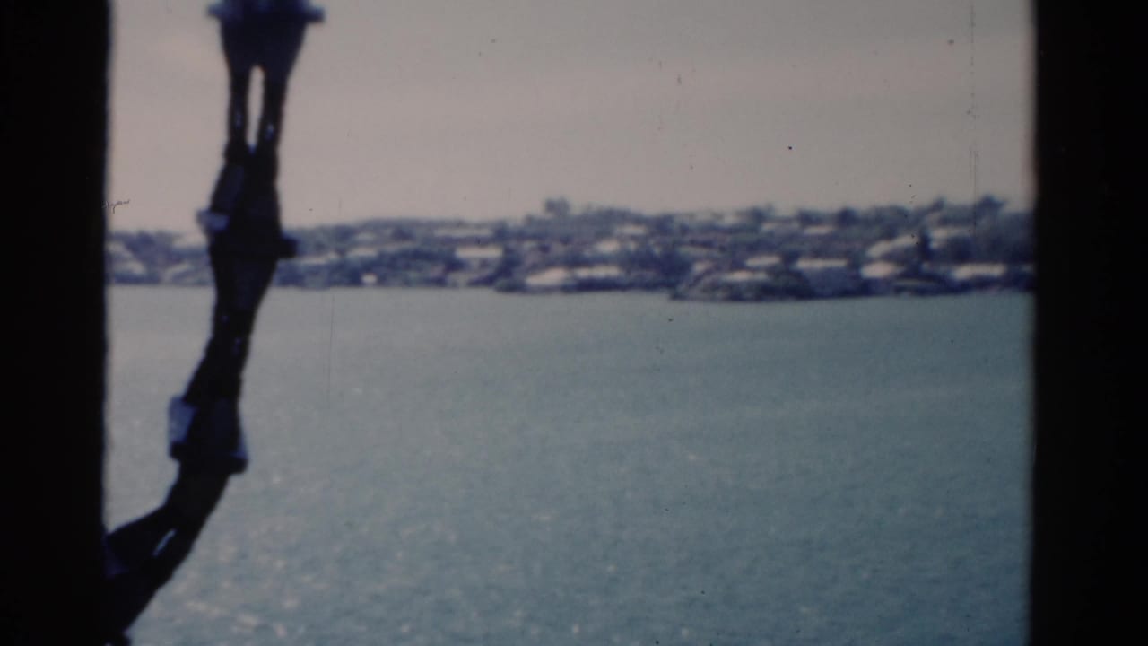 Open water and distant shoreline with a dark vertical railing or window frame in front.