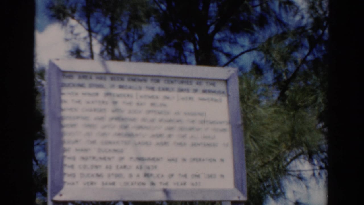 Historical marker sign centered beside dark tree trunks and pine branches.