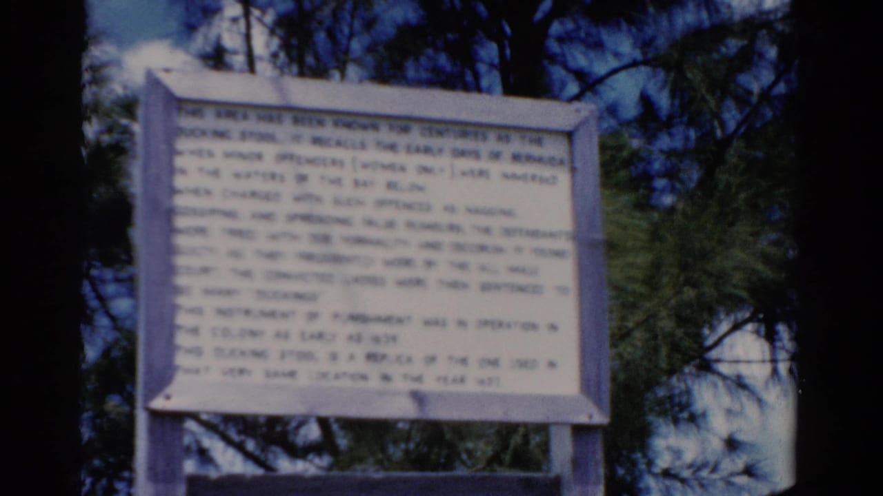 White sign with dense text, framed by trees and sky.