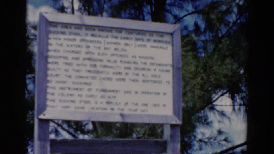 1975 Florida 8mm frame showing the sign lower in view, with dark tree trunks and pine branches filling the background.