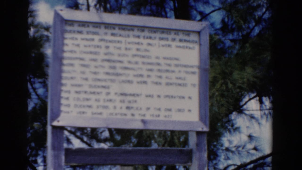 Wooden sign with printed text framed by dark trees and foliage.
