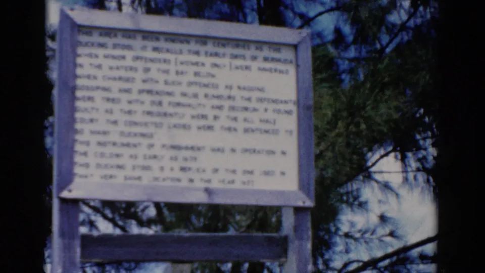 1975 8mm Florida travel frame showing a pale wooden interpretive sign mounted outdoors with pine foliage and sky behind it.