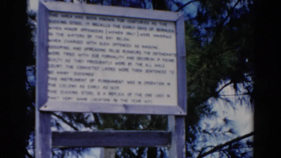 Final 1975 8mm Florida frame of the historical sign against blue sky, pine branches, and a dark vertical tree trunk.