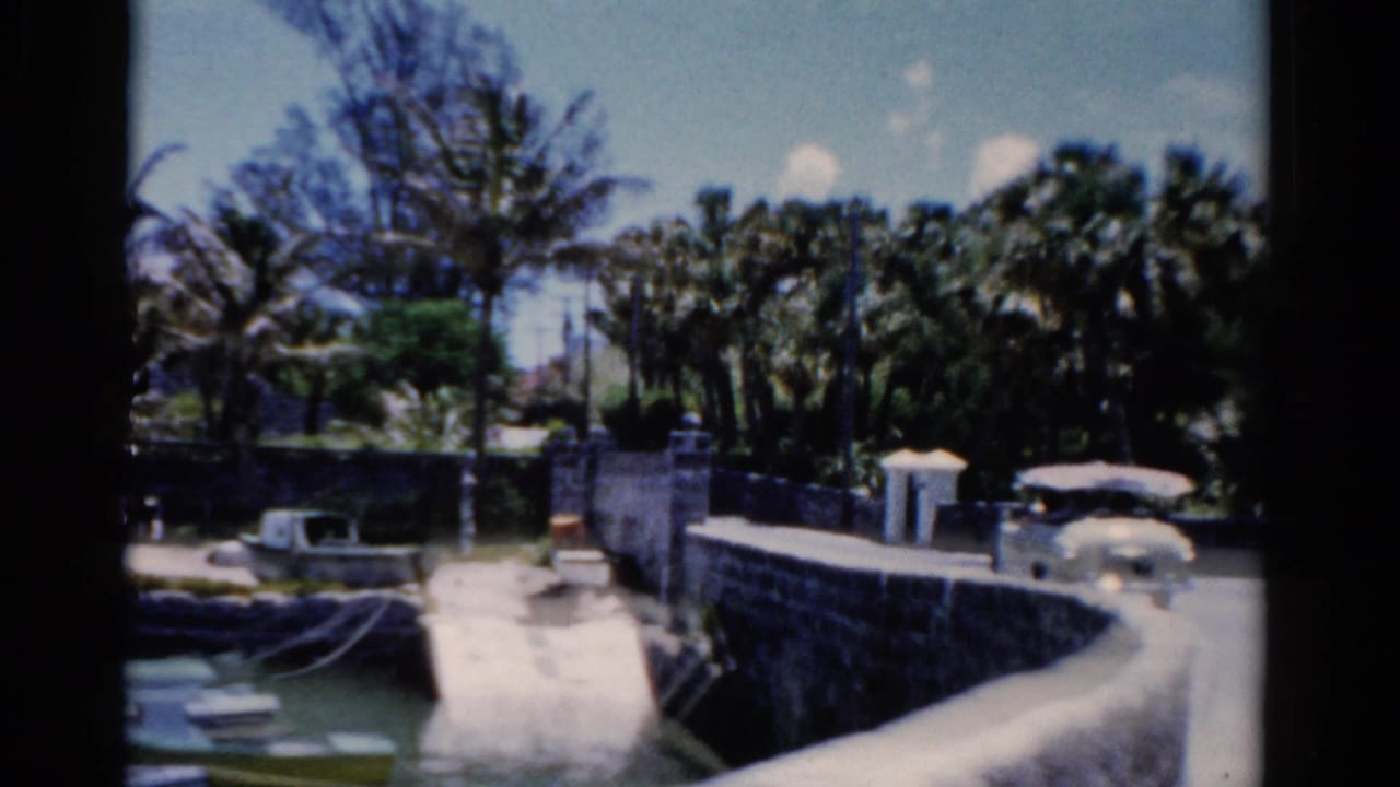 1975 Florida harbor view with a stone seawall, small moored boats, palms, and a road curving along the waterfront.