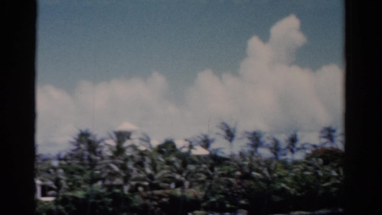 Tropical treeline with palms, white roof forms, blue sky, clouds, and dark vertical framing.