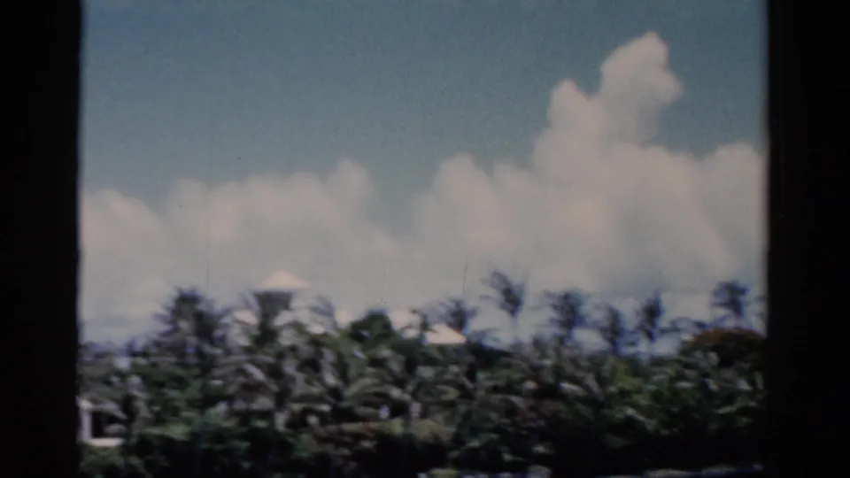 1975 Florida resort-area view with dense palms, white rooflines partly hidden by vegetation, bright clouds, and dark frame edges.