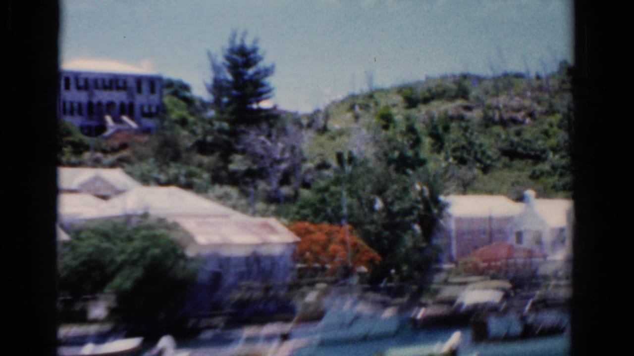 Waterfront buildings and boats below a green hillside with tropical trees.