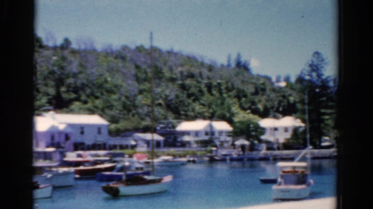 Waterfront buildings and moored boats with a wooded hill behind them.