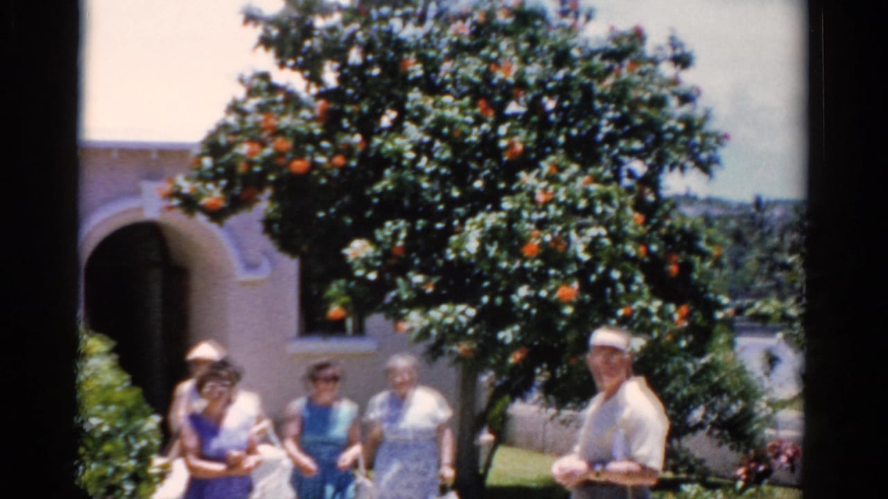 Group of older adults outside a stucco building with a large orange tree nearby.