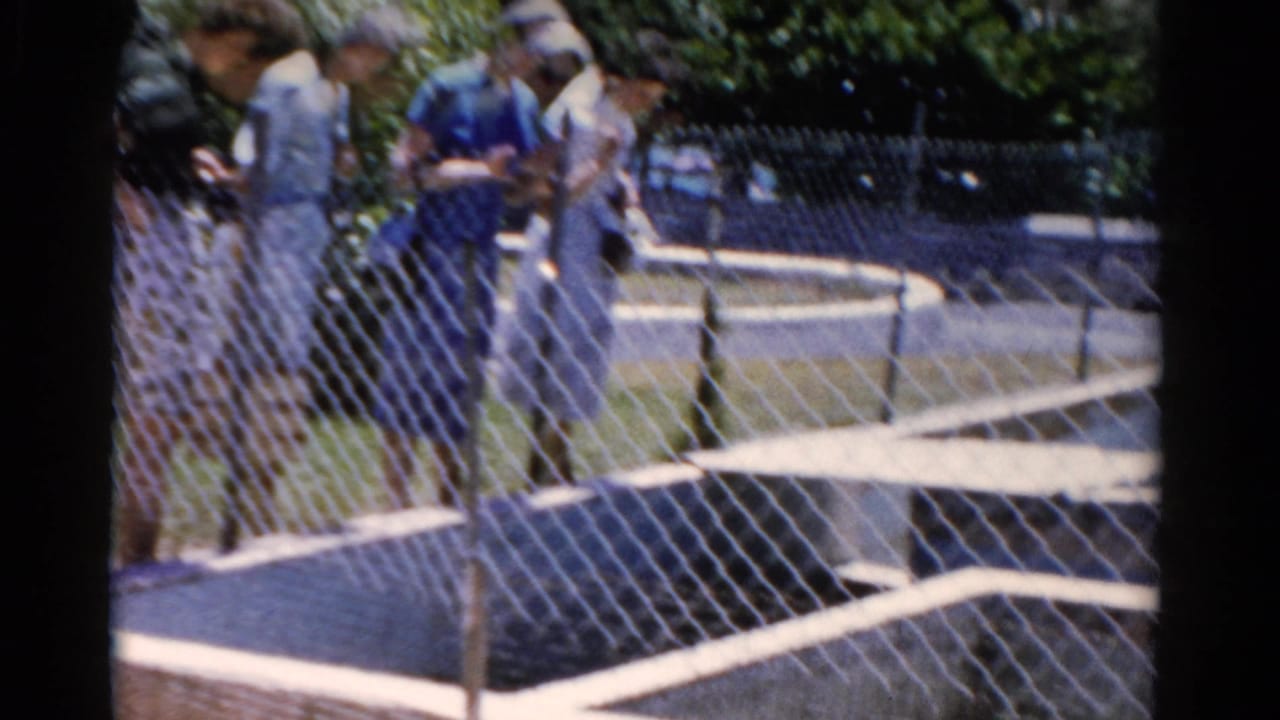 Visitors stand by a chain-link fence at a sunny zoo enclosure.