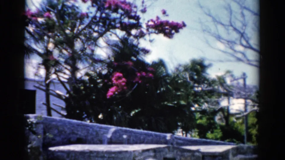 Florida 1975 cemetery frame showing pink blossoms, tree branches, stone structures, and distant greenery in 8mm color.