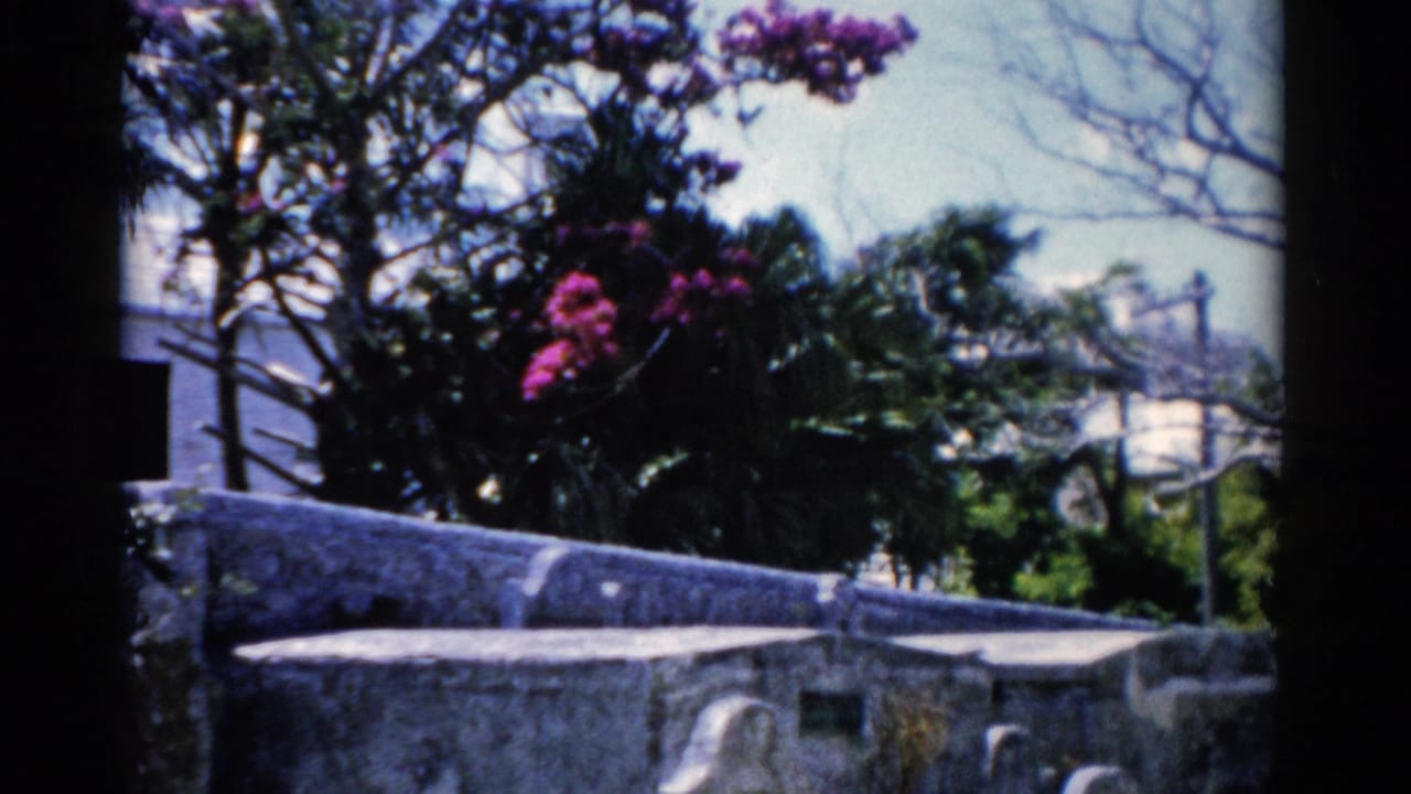 1975 Florida 8mm frame showing a stone cemetery wall, pink flowers, trees, grass, and a white building beyond.