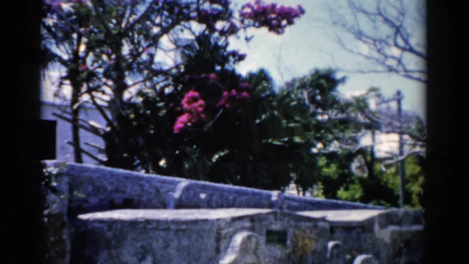 1975 Florida 8mm frame showing a stone cemetery wall, pink flowers, trees, grass, and a white building beyond.