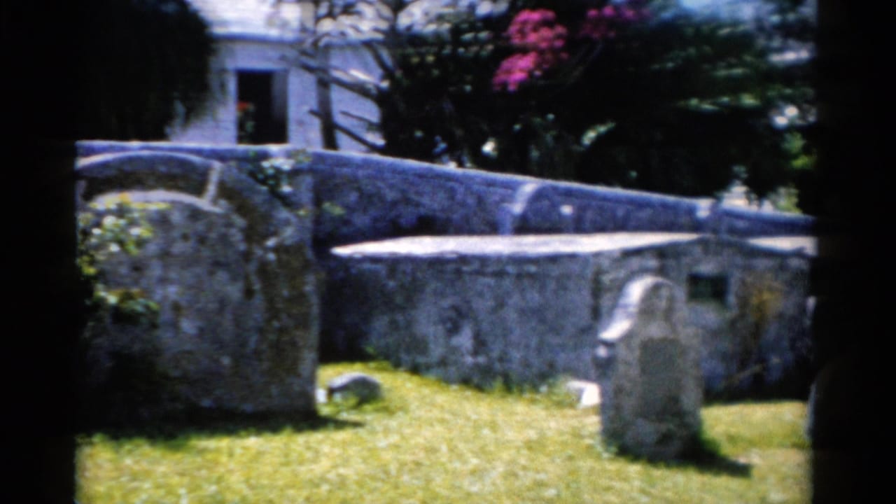1975 Florida home-movie frame with a curving stone wall, gravestones, lawn, trees, and pink flowers in strong sun.